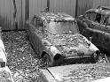 Autofriedhof - 037